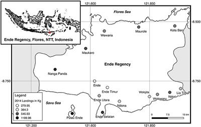 Reconstructing the History and the Effects of Mechanization in a Small-Scale Fishery of Flores, Eastern Indonesia (1917–2014)